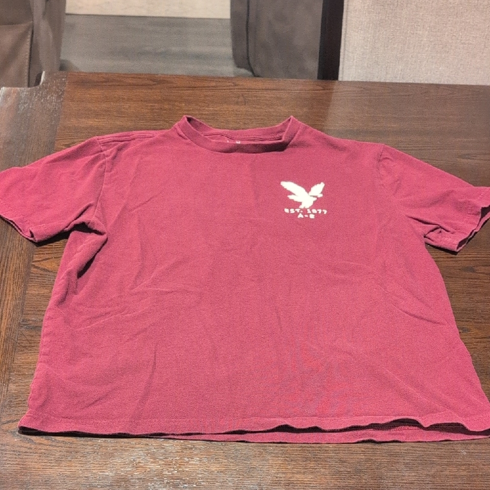 Men's American Eagle Shirt NWOT